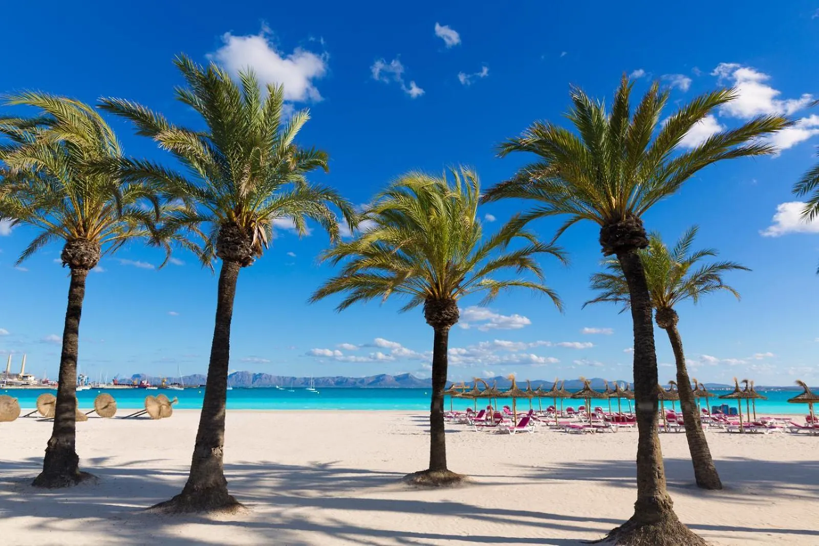 Apartment Voramar Baix In Alcudia